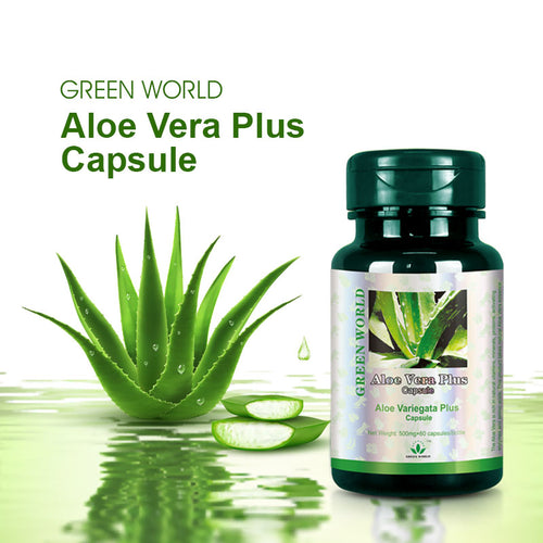 Green World Aloe Vera Plus Capsules (500mg x 60) - Liver Detox & Immunity Booster